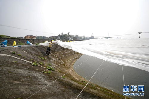 疏通產(chǎn)業(yè)鏈堵點(diǎn)，保障“菜籃子”供應(yīng)——重慶養(yǎng)殖大區(qū)力促養(yǎng)殖業(yè)補(bǔ)損復(fù)產(chǎn)與飼料銷售暢通