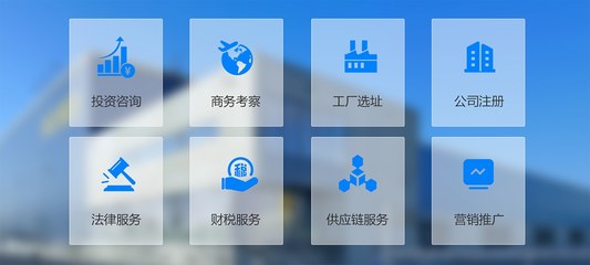 多元化產品服務與投資咨詢 打造穩健財富增長的雙引擎