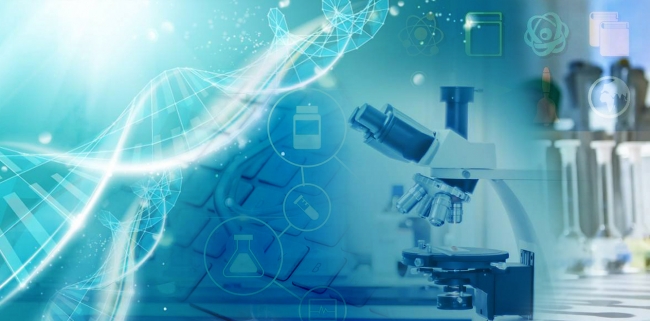 國家自然科學基金重點項目名單揭曉 我校22項目覆蓋醫學、理學與工學，彰顯自然科學研究新突破